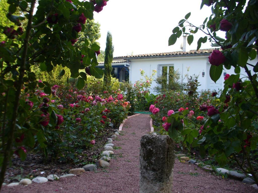 Chambre D'Hotes Dyrslot Bed & Breakfast Saint-Denis-de-Pile Eksteriør bilde